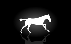 白色马儿奔跑flash素材